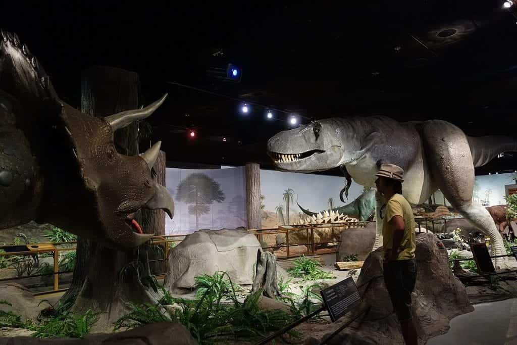 Las Vegas Natural History Museum - Museums in Las Vegas
