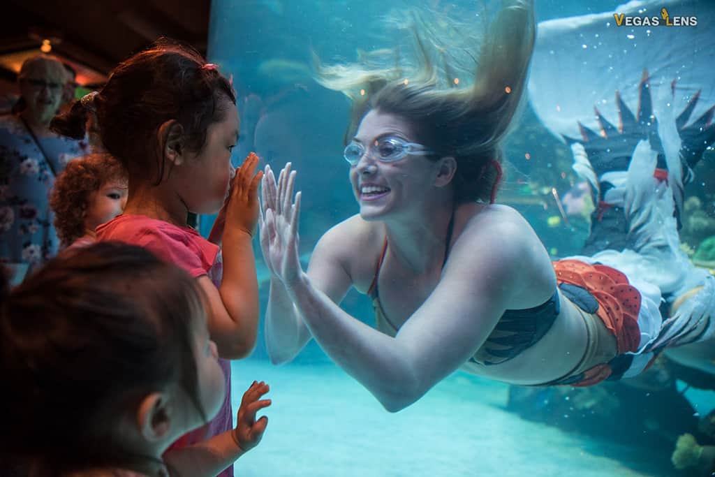 Mermaid Show at the Silverton Hotel - Free things to do in Las Vegas with kids