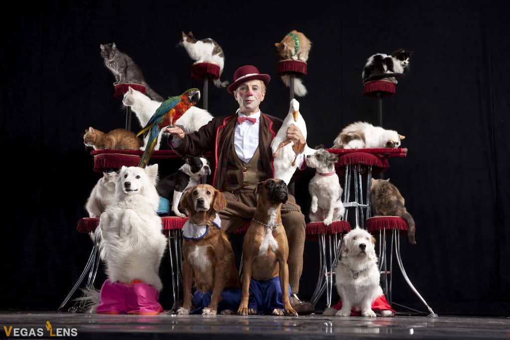 Popovich Comedy Pet Theatre - Las Vegas family shows