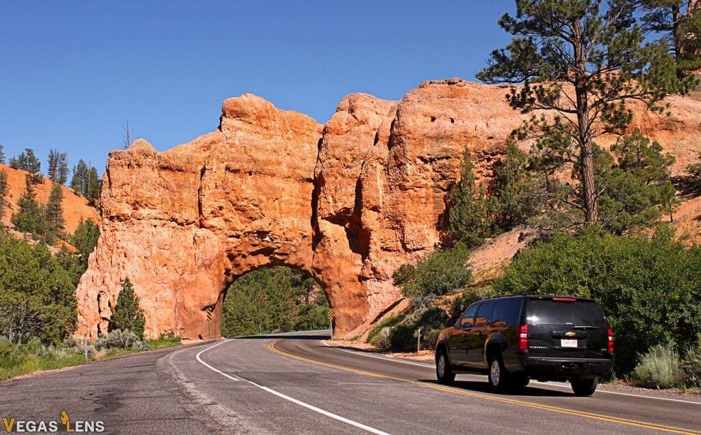Dixie National Forest - Las Vegas day trips