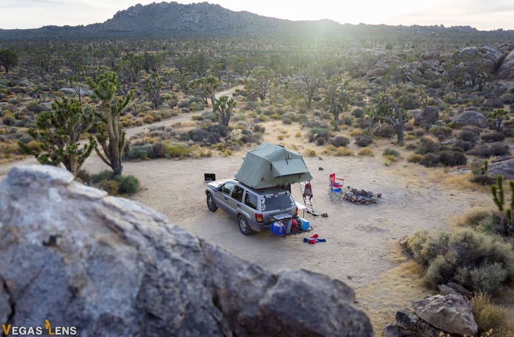 Mojave National Preserve - Best day trips from Las Vegas