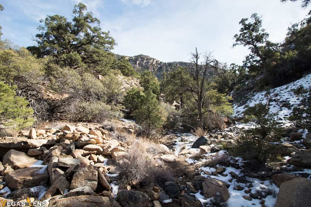 The Mount Tipton Wilderness Area - Day trips from Las Vegas