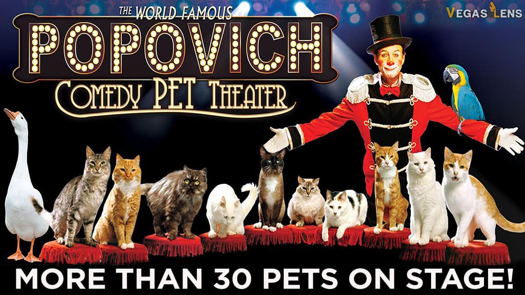Popovich Comedy Pet Theater - Las Vegas afternoon shows