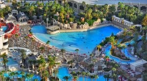 The Mandalay Bay Beach - Best pools in Las Vegas