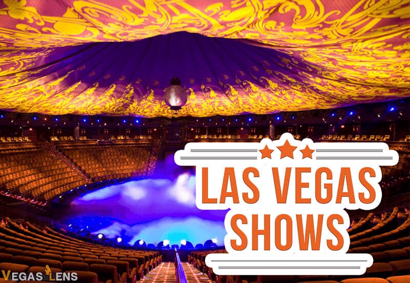 Las Vegas Must See Shows For Newbies